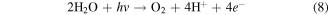 Equation (8)