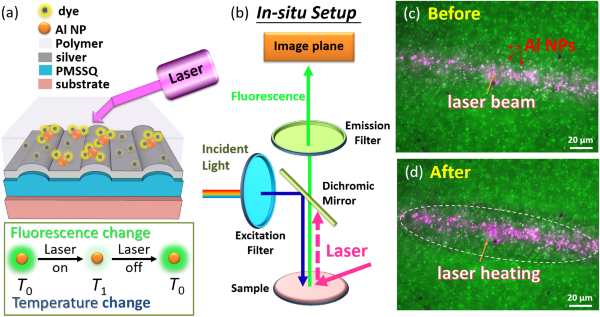 Enhanced fluorescence for in situ temperature mapping of photothermally ...