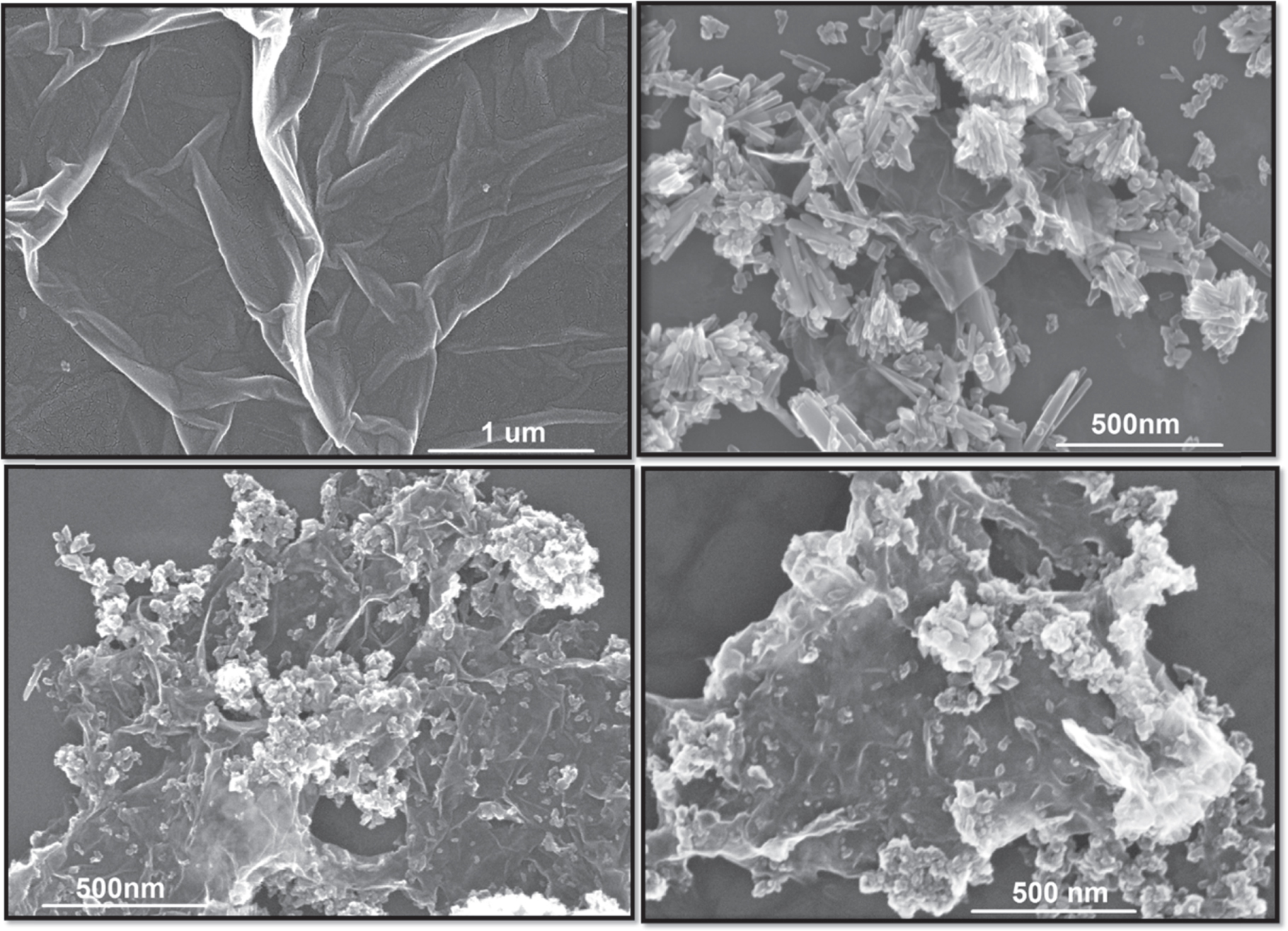 One-pot engineering TiO2/graphene interface for enhanced adsorption and ...