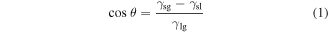 Equation (1)