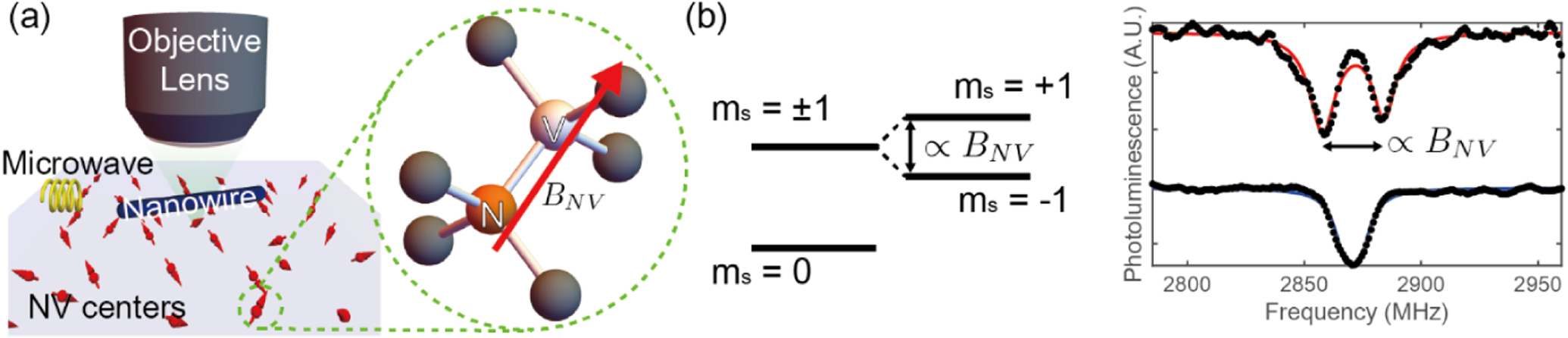 Magnetic imaging of a single ferromagnetic nanowire using diamond ...