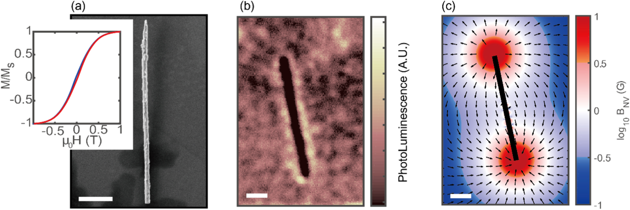 Magnetic imaging of a single ferromagnetic nanowire using diamond ...