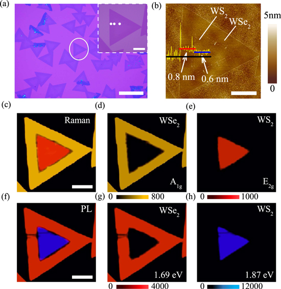 In situ exploration of the thermodynamic evolution properties in the ...