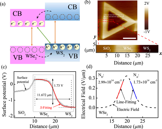In situ exploration of the thermodynamic evolution properties in the ...