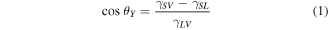 Equation (1)