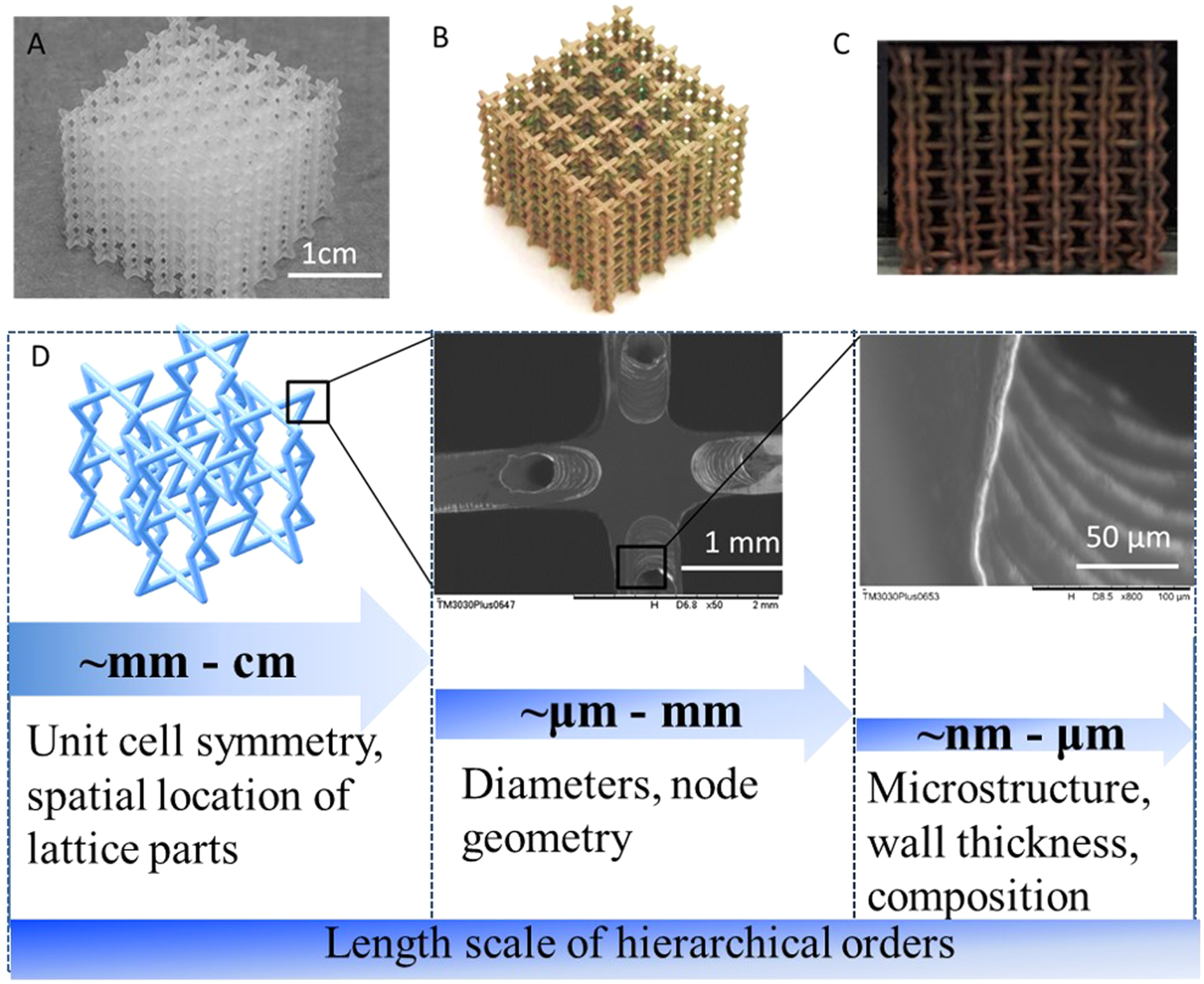 Hierarchical metal/polymer metamaterials of tunable negative Poisson’s ...