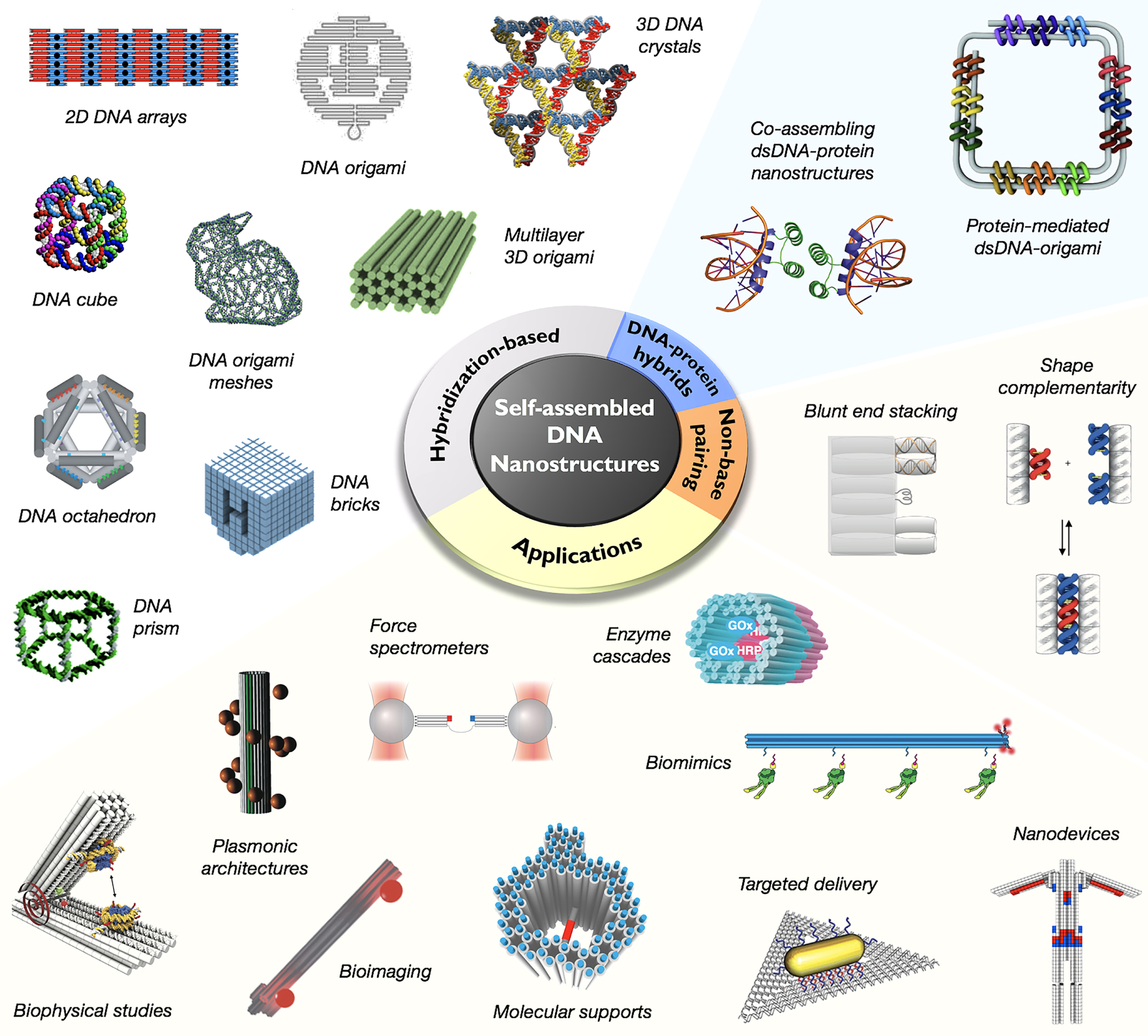 DNA-based construction at the nanoscale: emerging trends and ...