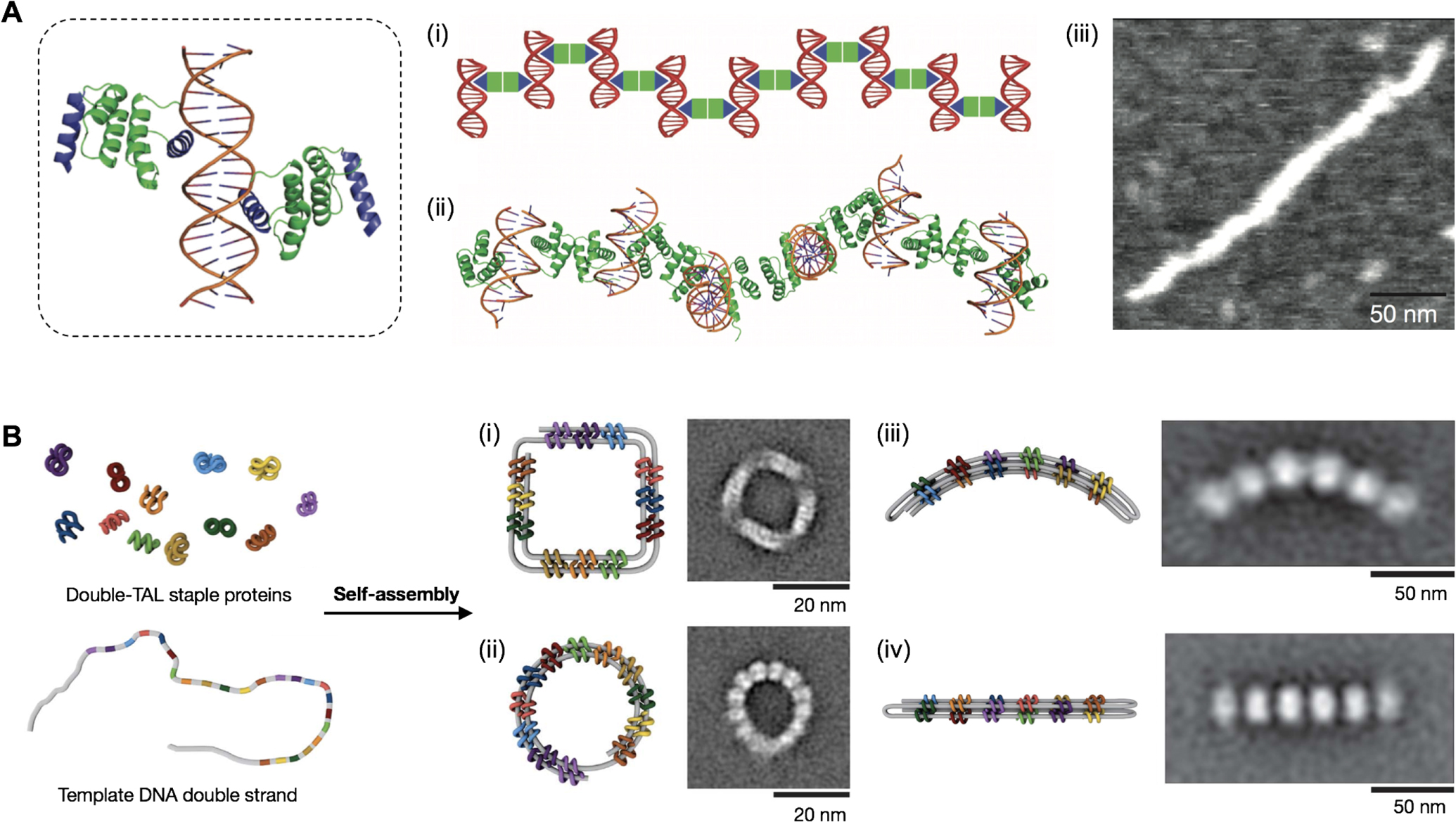 DNA-based construction at the nanoscale: emerging trends and ...