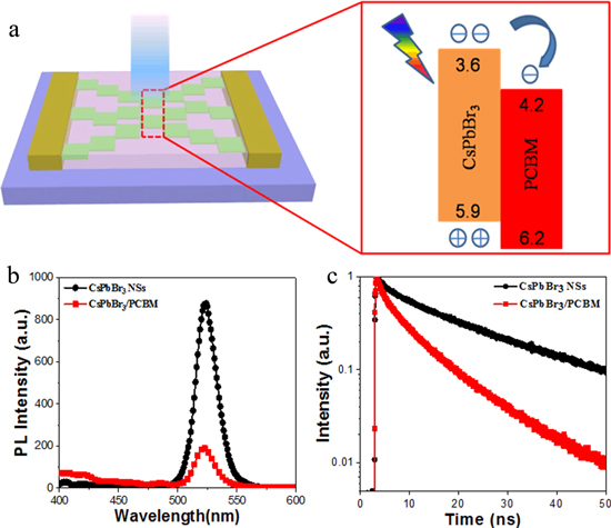 Two-dimensional CsPbBr3/PCBM heterojunctions for sensitive, fast and ...