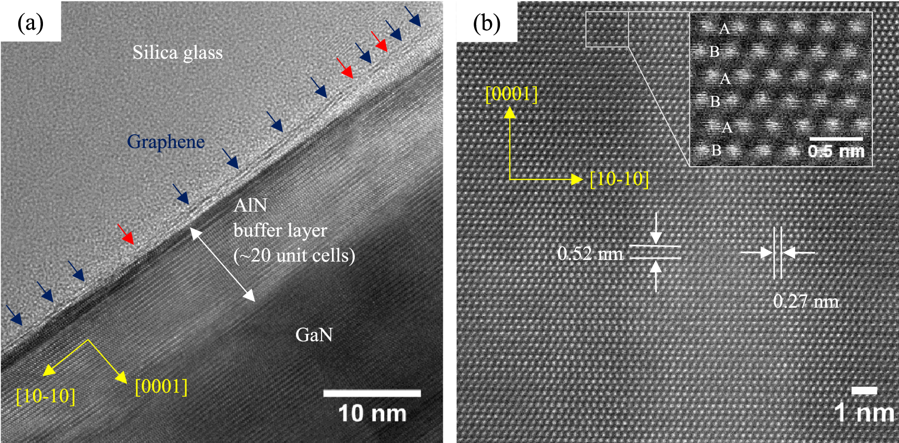 Vertical GaN nanocolumns grown on graphene intermediated with a thin ...