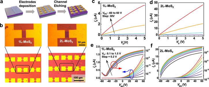 Wafer-scale transferred multilayer MoS2 for high performance field ...