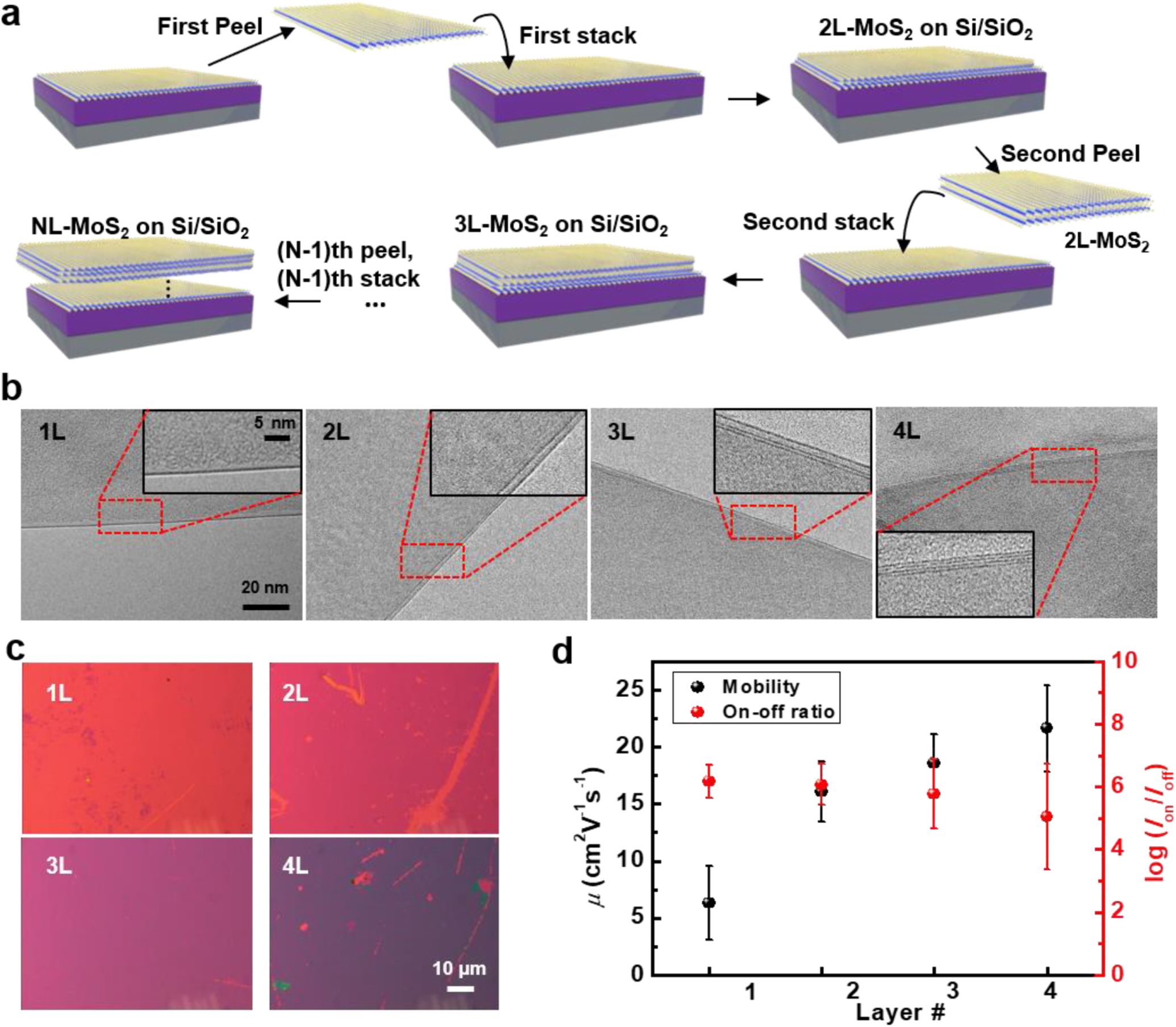 Wafer-scale transferred multilayer MoS2 for high performance field ...