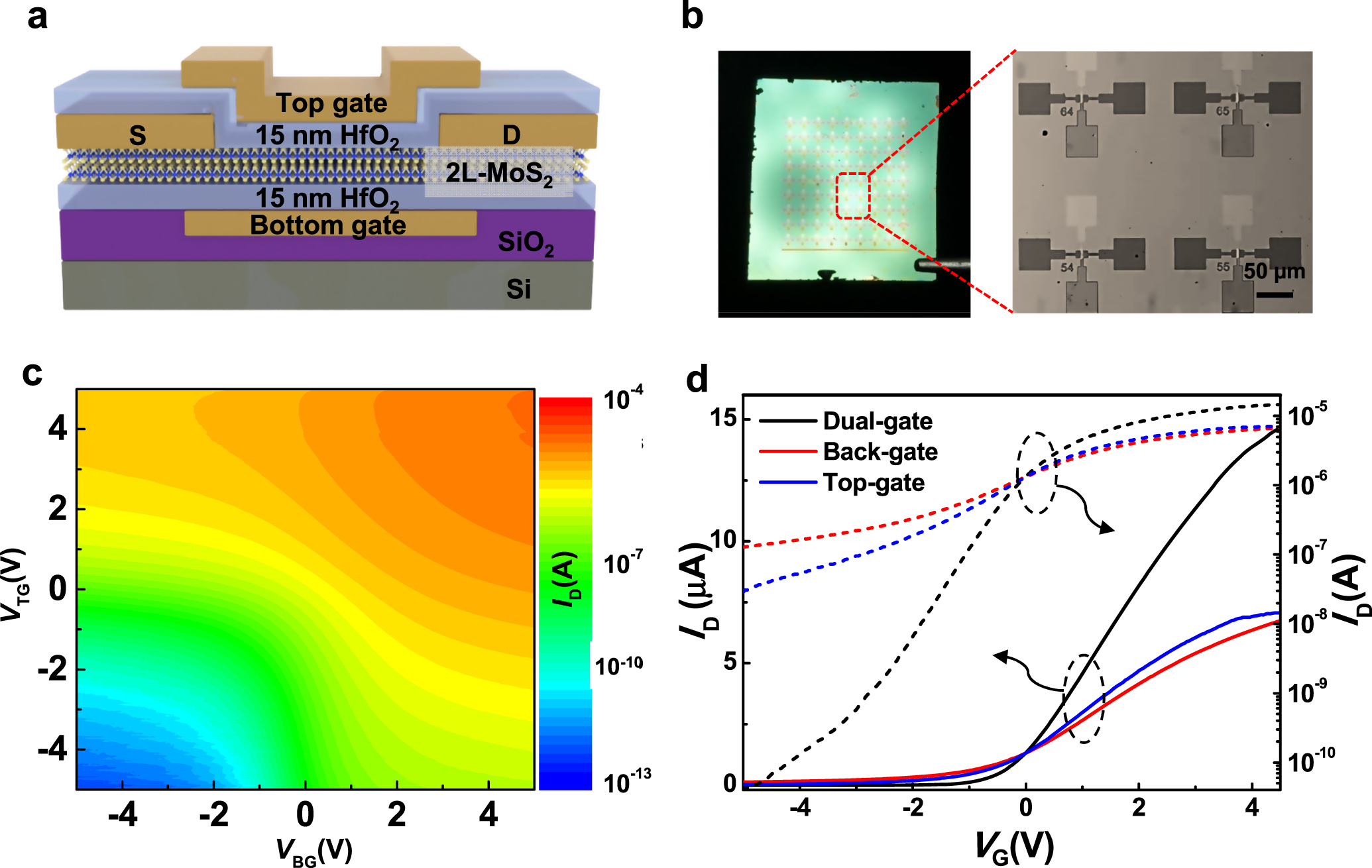 Wafer-scale transferred multilayer MoS2 for high performance field ...