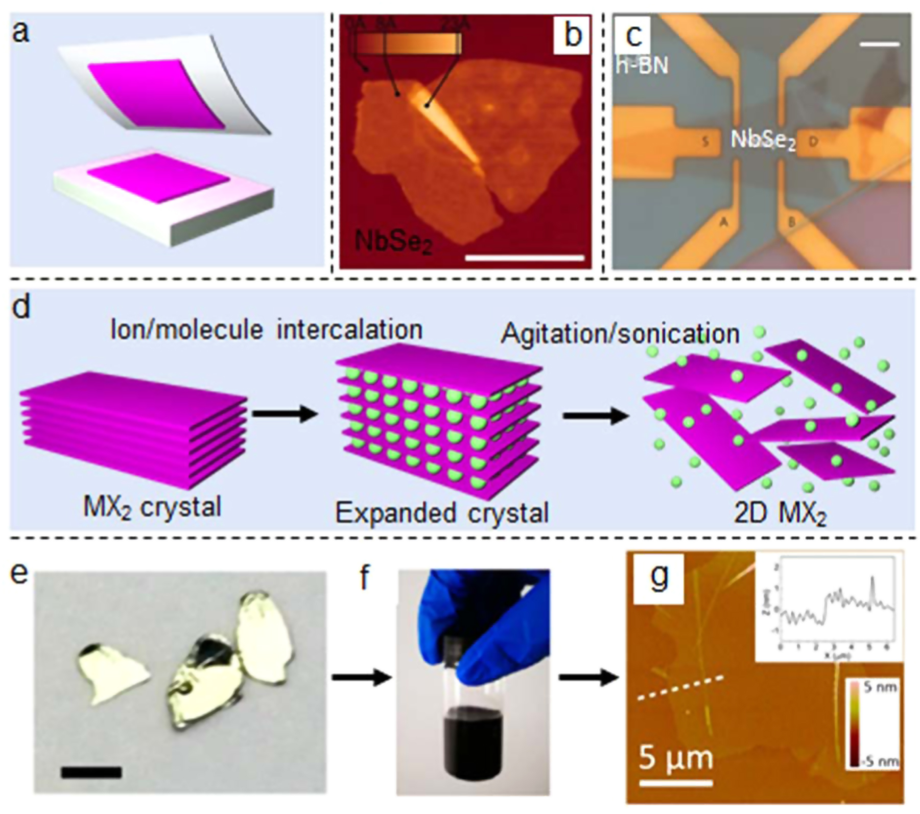 Recent progress in the controlled synthesis of 2D metallic transition ...