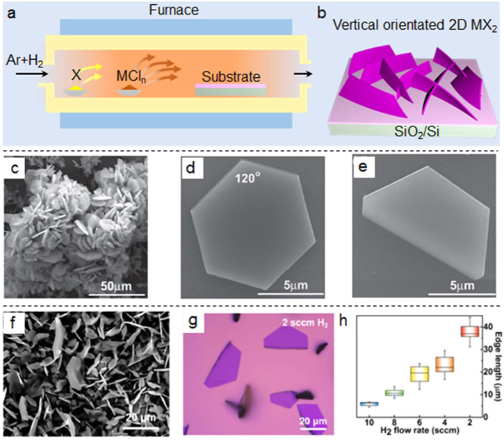 Recent progress in the controlled synthesis of 2D metallic transition ...