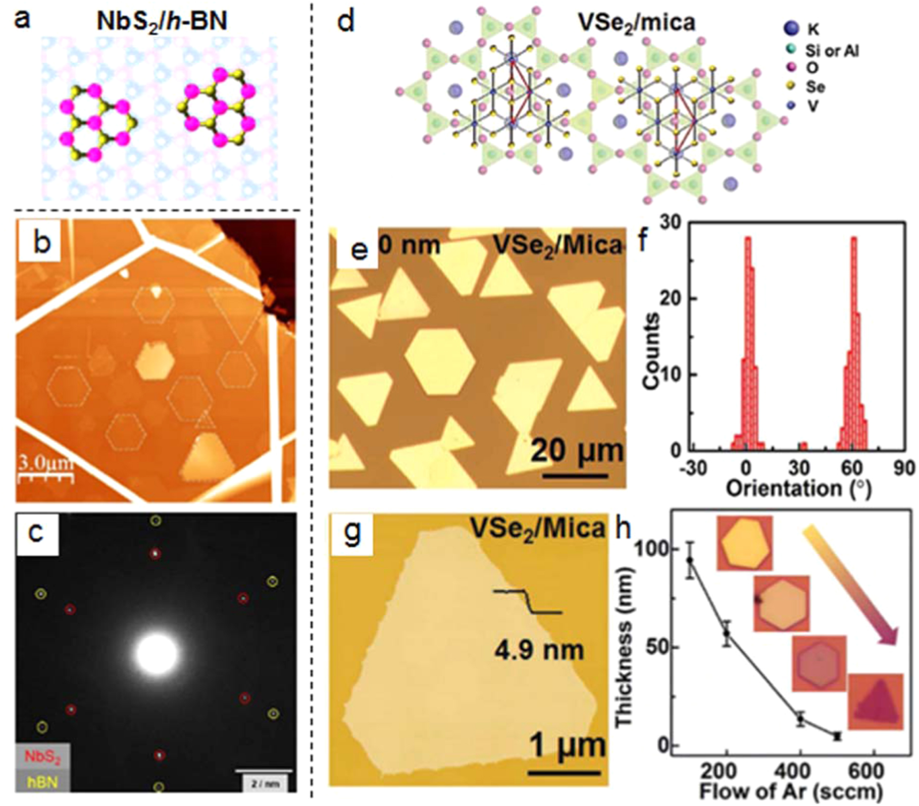 Recent progress in the controlled synthesis of 2D metallic transition ...