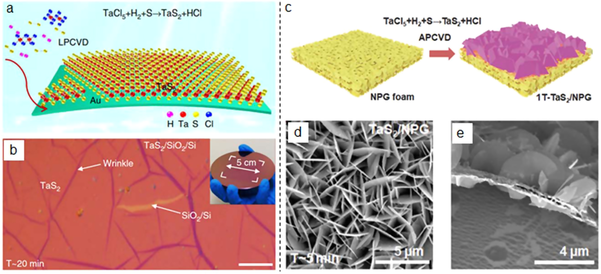 Recent progress in the controlled synthesis of 2D metallic transition ...