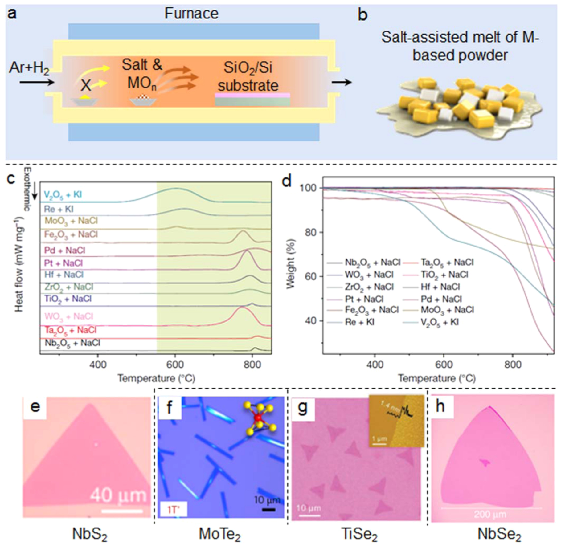 Recent progress in the controlled synthesis of 2D metallic transition ...