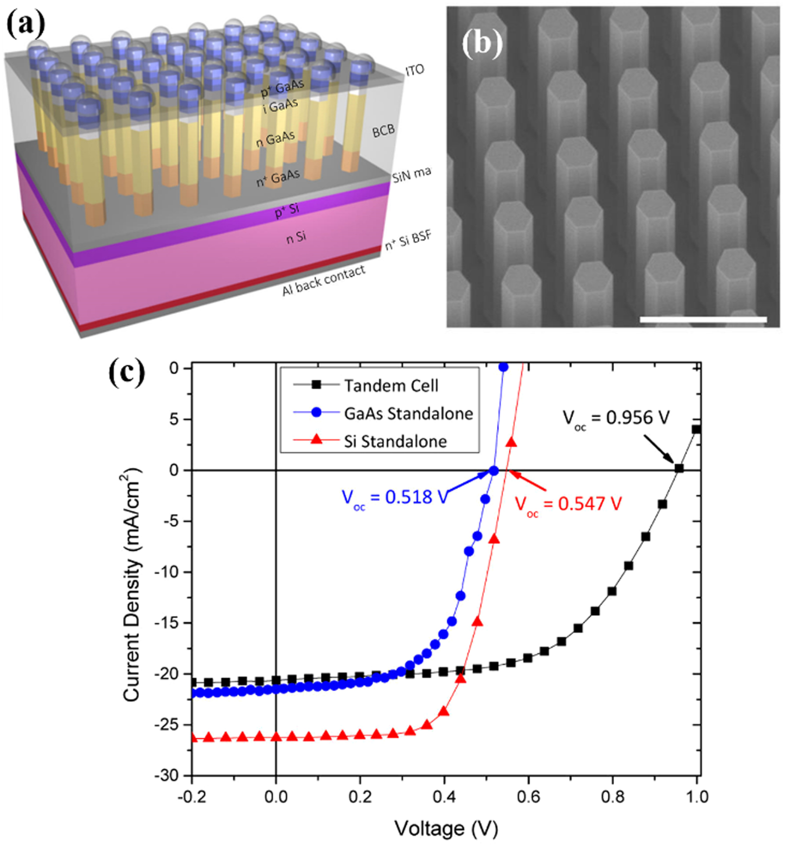 Rational design of nanowire solar cells: from single