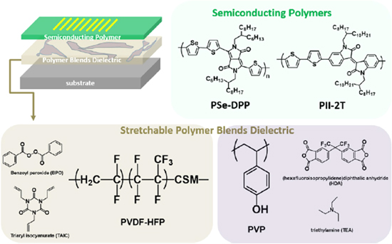 High-k polymeric gate insulators for organic field-effect transistors ...