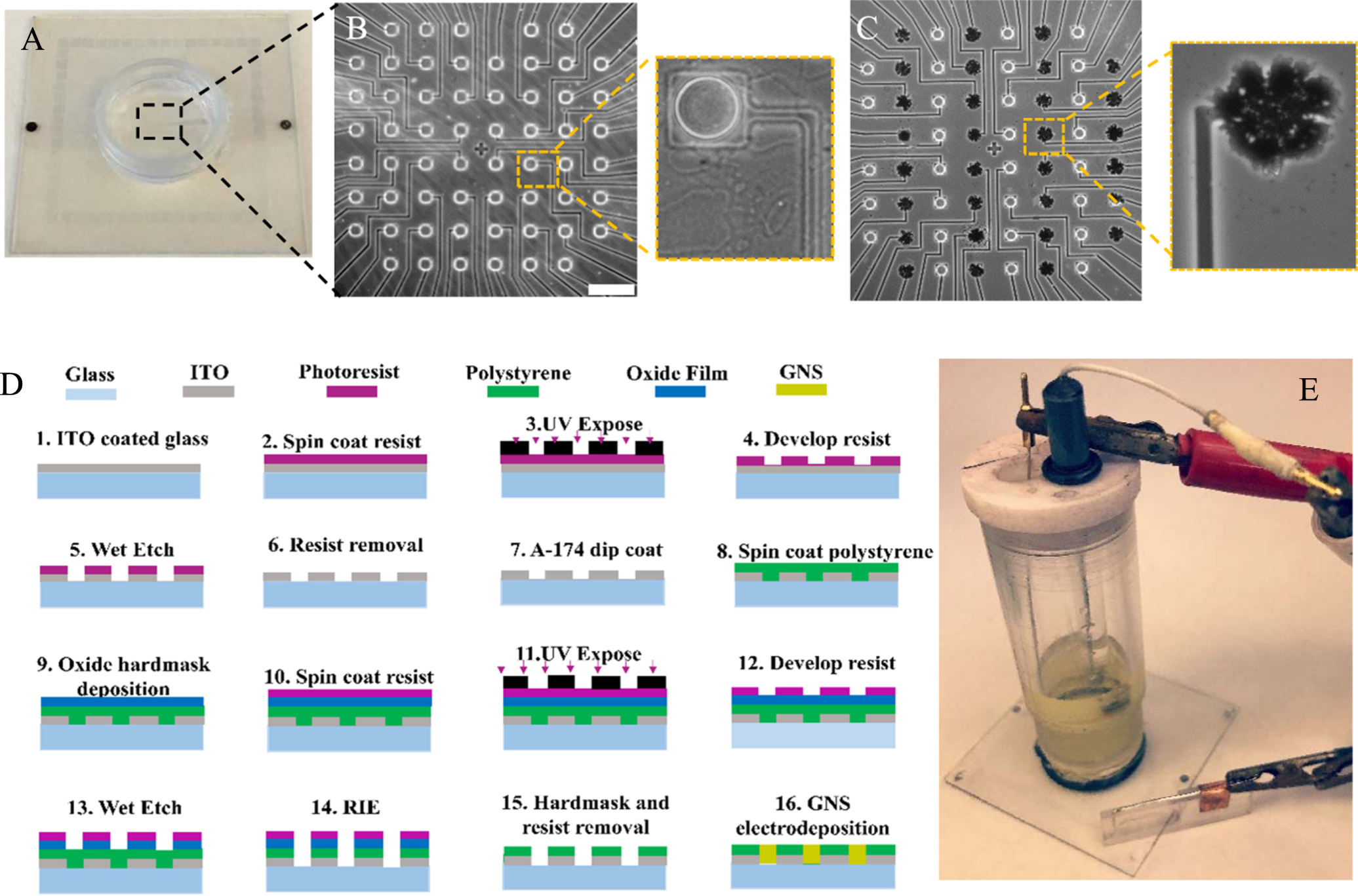 Gold nanostructure microelectrode arrays for in vitro recording and ...