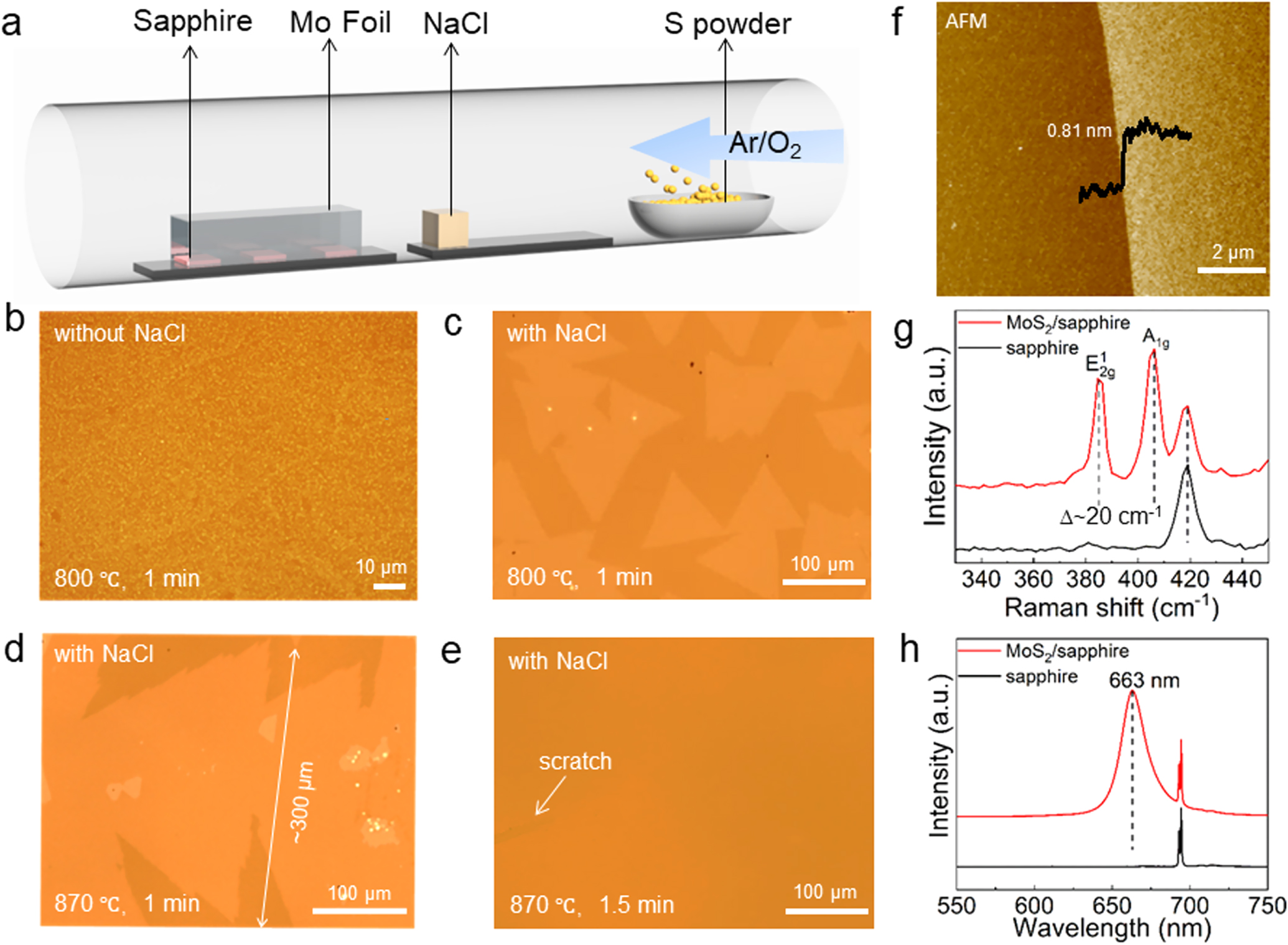 Na-assisted fast growth of large single-crystal MoS2 on sapphire ...