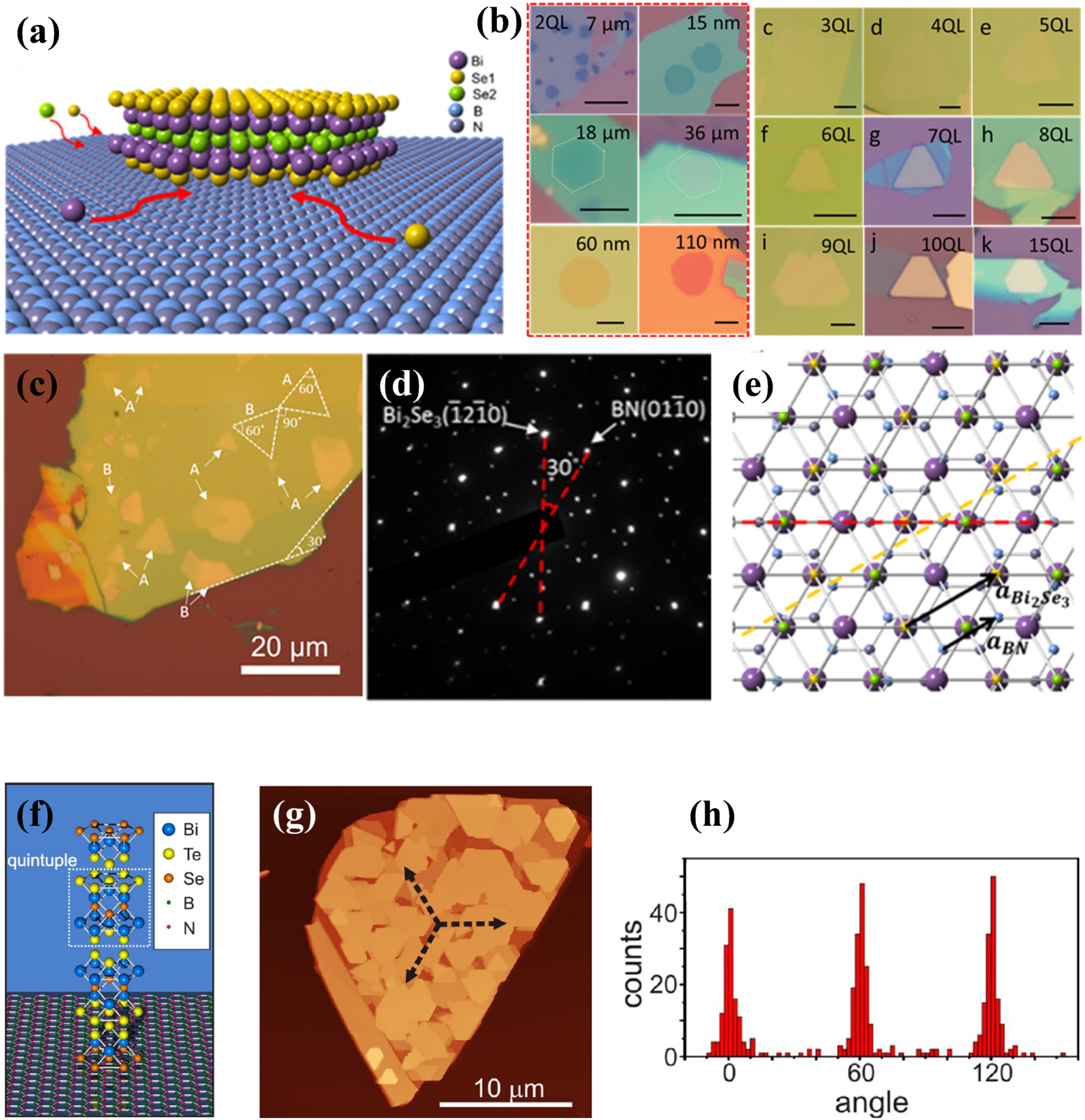 Growth of two-dimensional materials on hexagonal boron nitride (h-BN ...