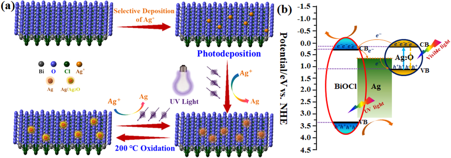 Reversibly tuning the surface state of Ag via the assistance of ...