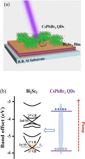 Ultrafast exciton transfer in perovskite CsPbBr3 quantum dots and ...