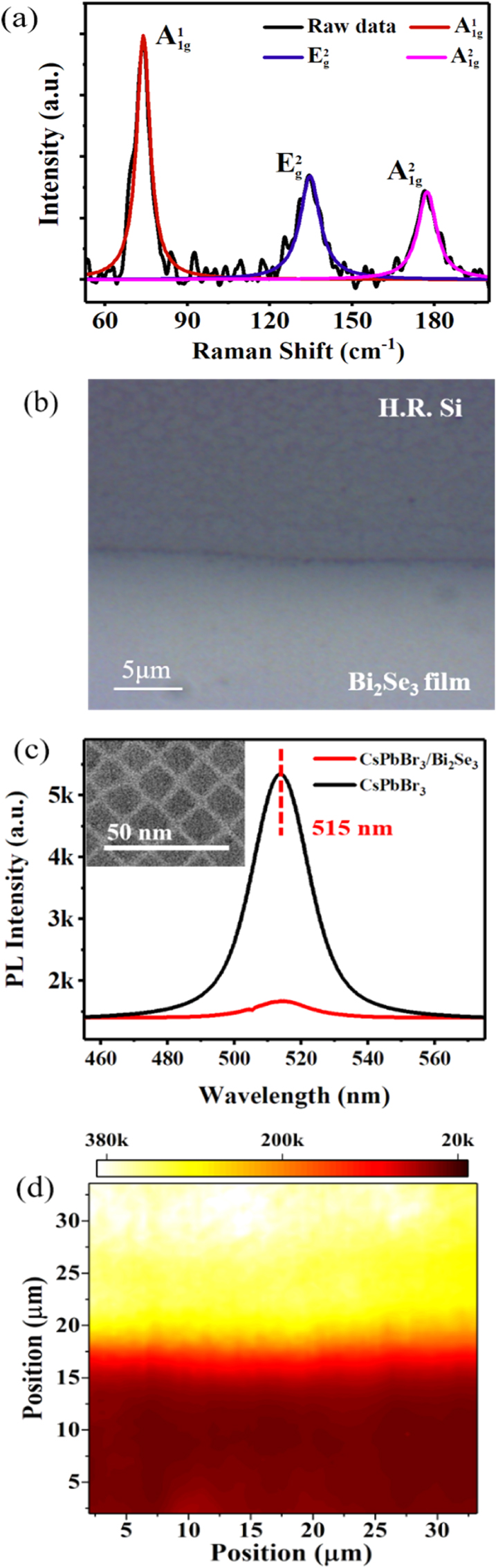 Ultrafast exciton transfer in perovskite CsPbBr3 quantum dots and ...