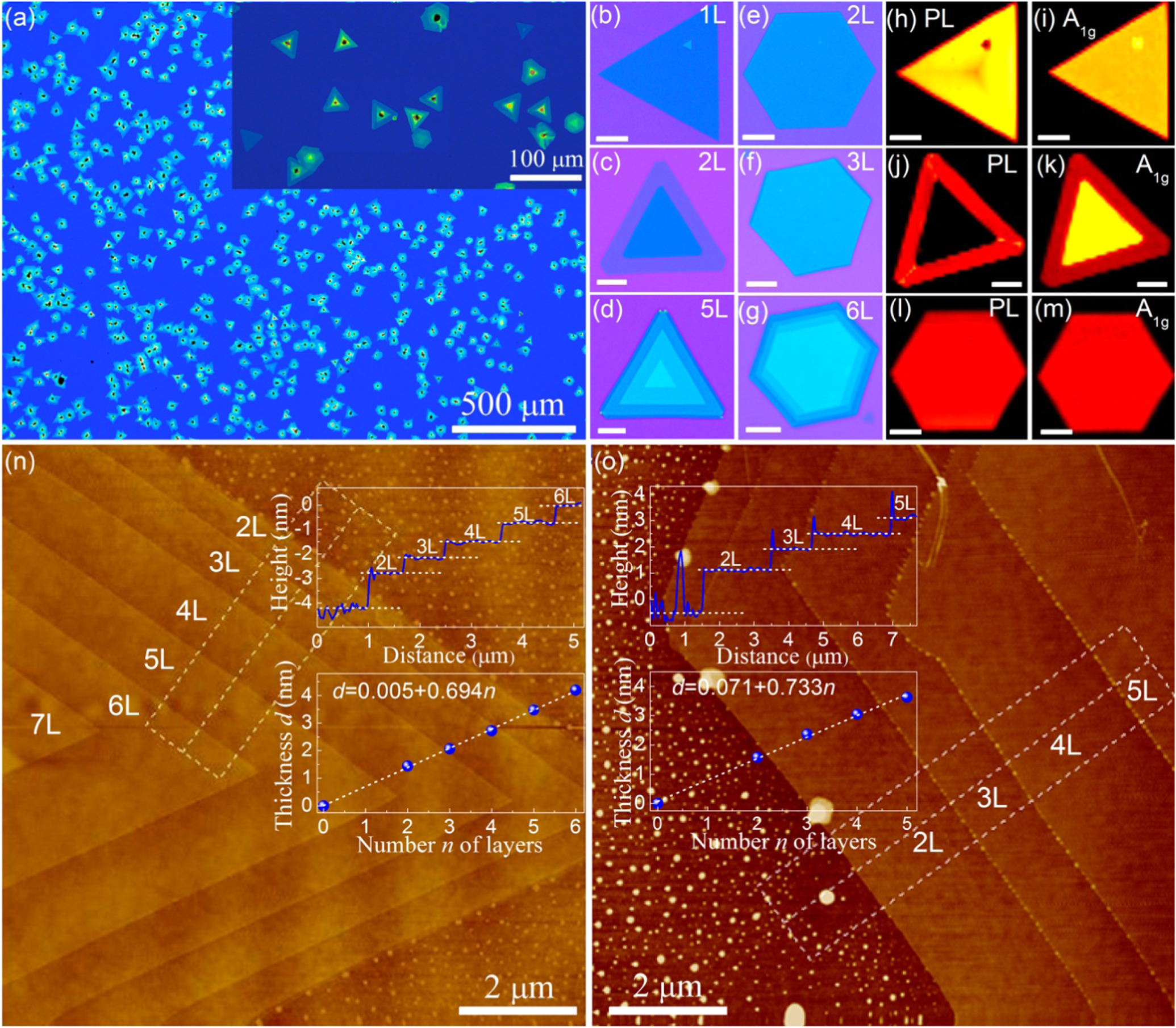 Effect of layer and stacking sequence in simultaneously grown 2H