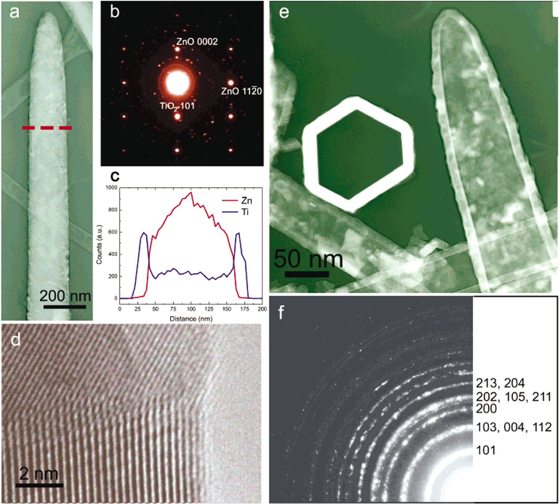 上田^_^ Autologous DNA mobilization and multiplication expedite