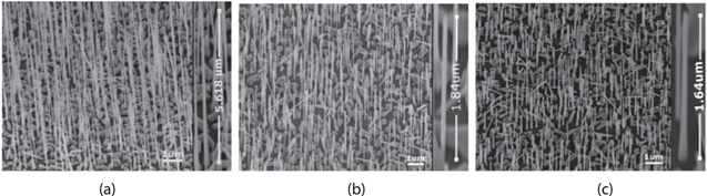 Figure 1. Refer to the following caption and surrounding text.