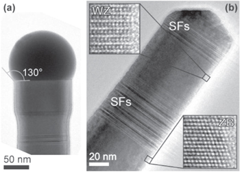 Figure 3. Refer to the following caption and surrounding text.