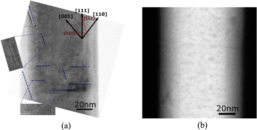 Figure 6. Refer to the following caption and surrounding text.