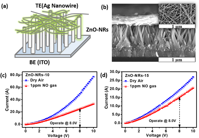 Highly sensitive nitric oxide gas sensor based on ZnO-nanorods vertical ...