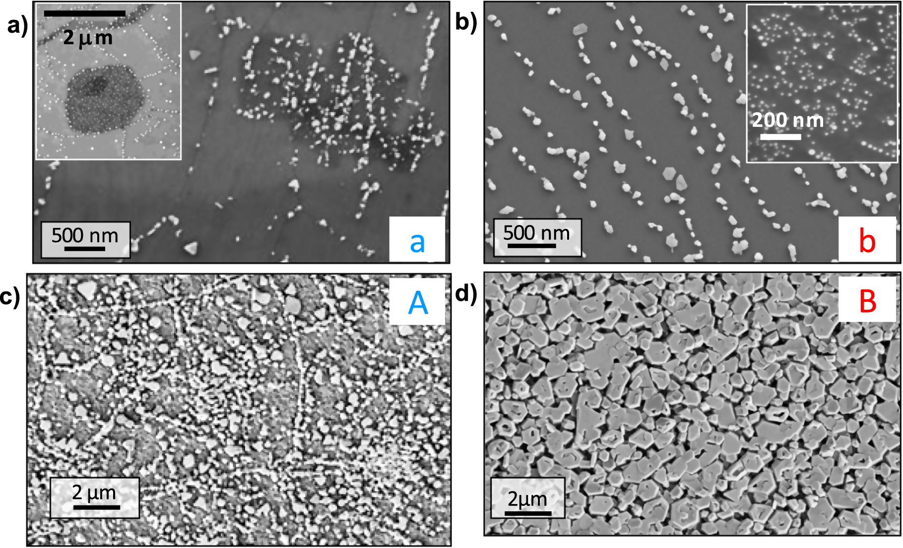 Impact of kinetics on the growth of GaN on graphene by plasma-assisted ...