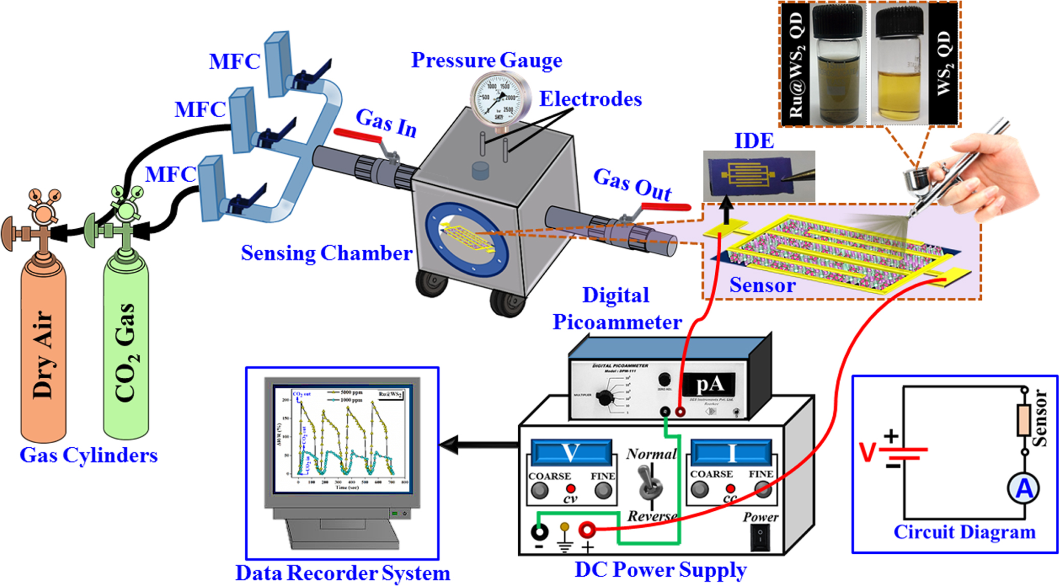 Ruthenium-decorated tungsten disulfide quantum dots for a CO2 gas ...