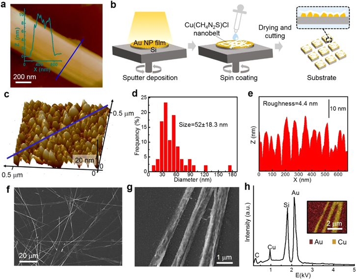Rapid and ultrasensitive surface-enhanced Raman spectroscopy detection ...