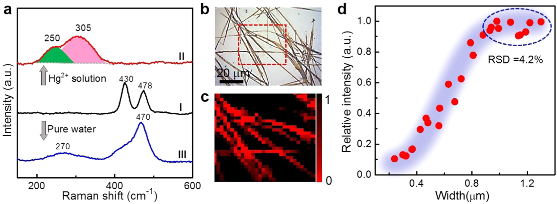 Rapid and ultrasensitive surface-enhanced Raman spectroscopy detection ...