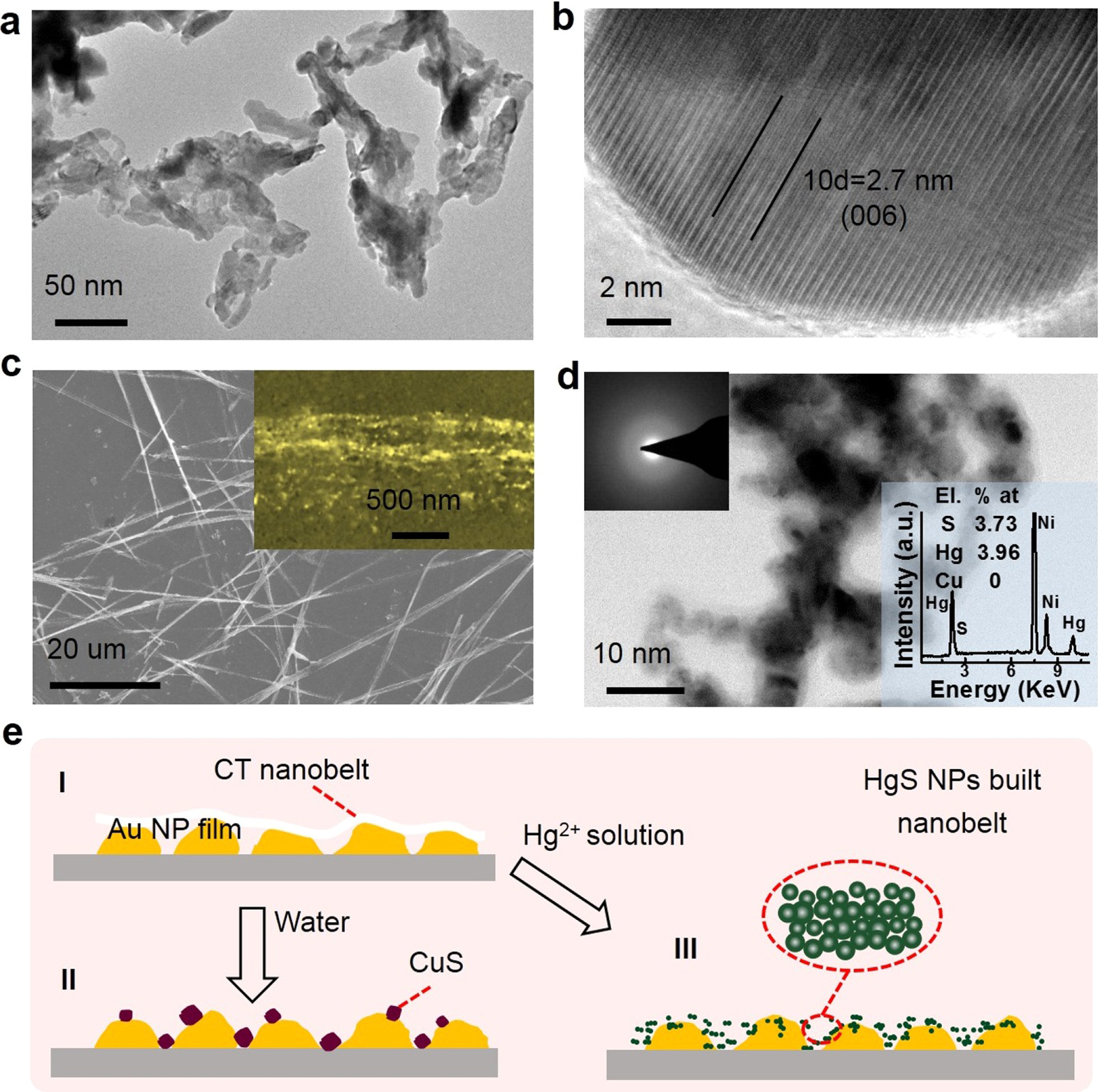 Rapid and ultrasensitive surface-enhanced Raman spectroscopy detection ...