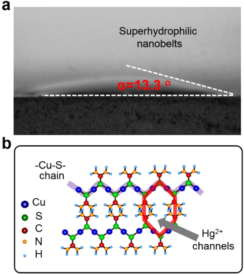 Rapid and ultrasensitive surface-enhanced Raman spectroscopy detection ...