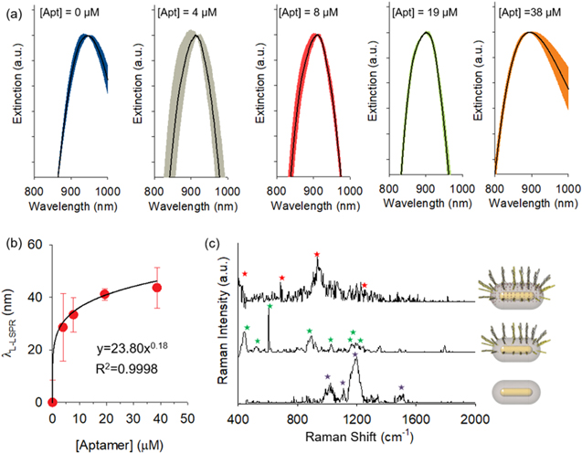 Labeling-free detection of ECD-HER2 protein using aptamer-based nano ...