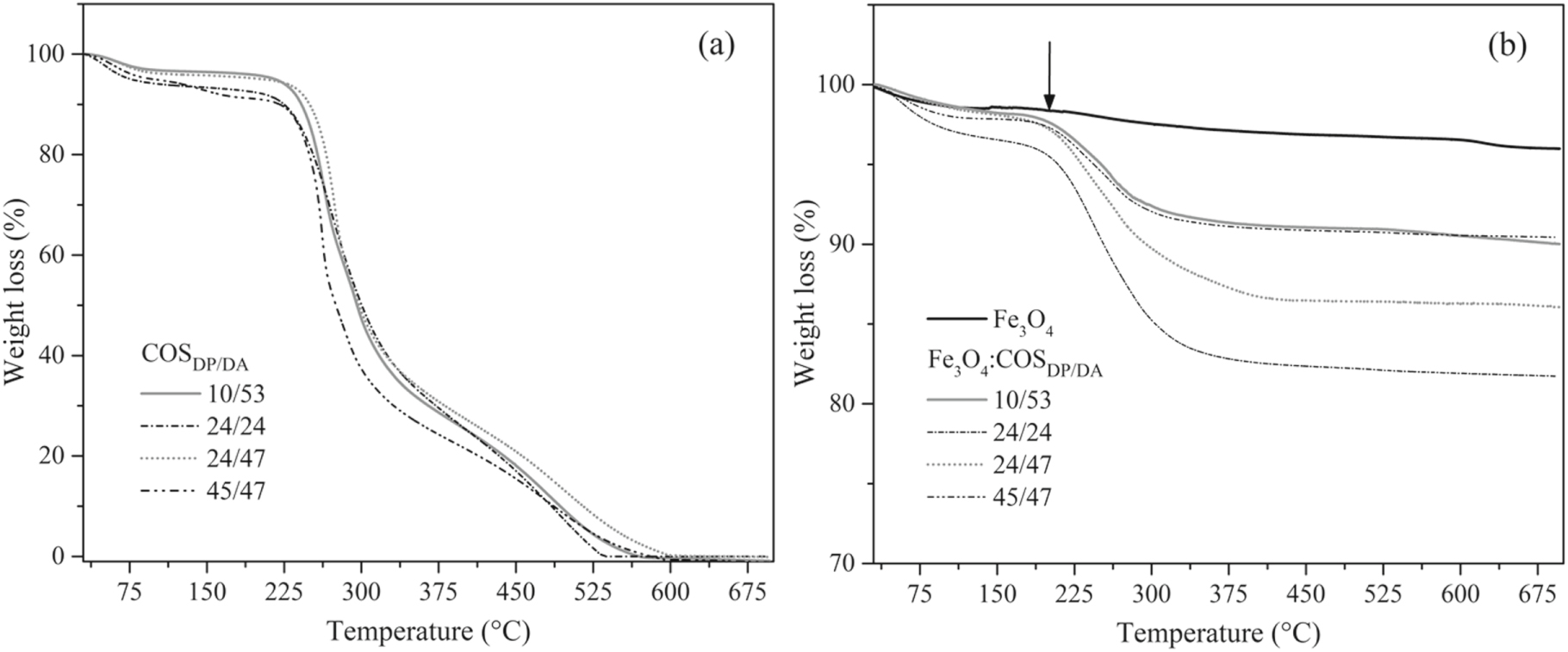 In situ synthesis of Fe3O4 nanoparticles coated by chito ...