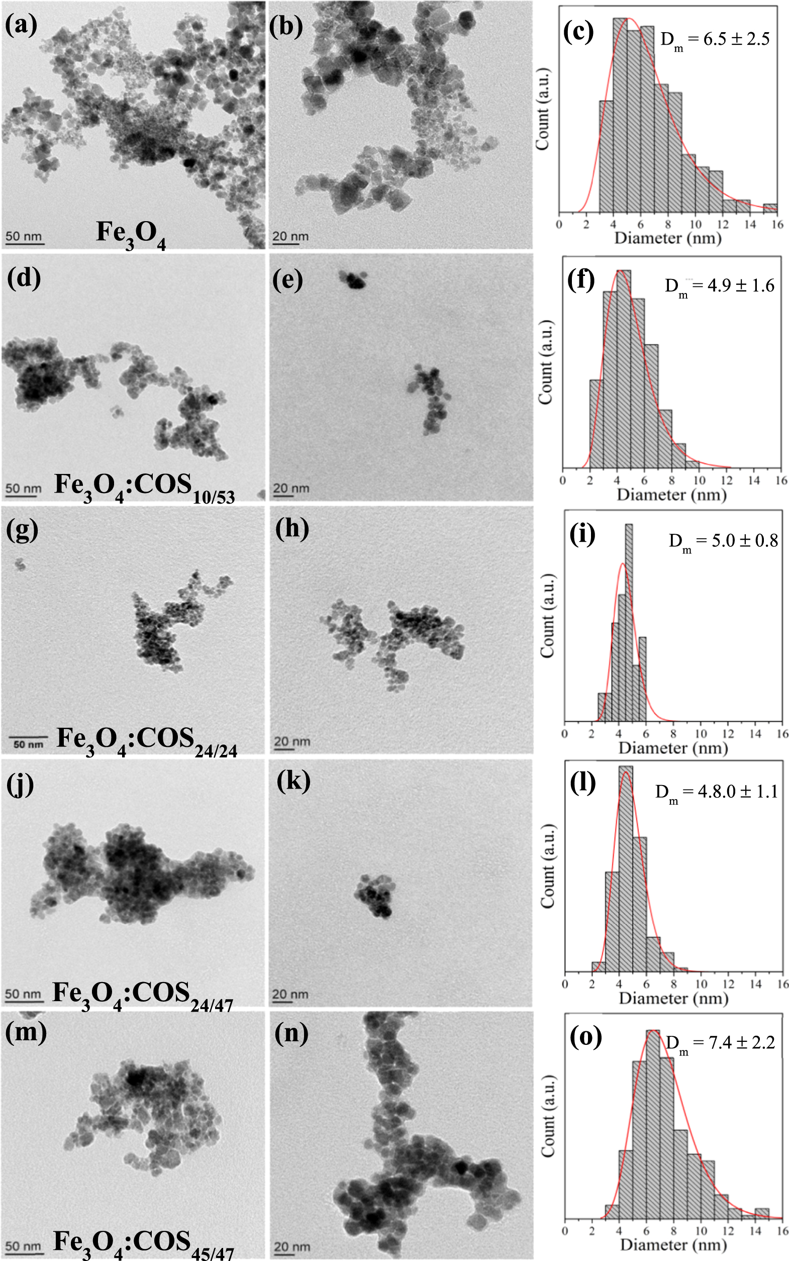 In situ synthesis of Fe3O4 nanoparticles coated by chito ...