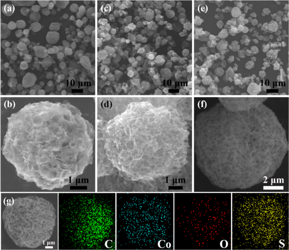 Synthesis of CoO nanocrystals decorated porous carbon nanotube ...