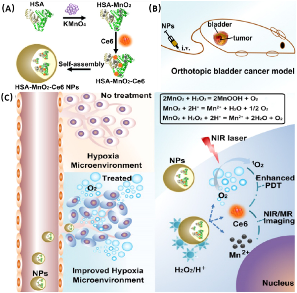 Biomedical application of manganese dioxide nanomaterials - IOPscience