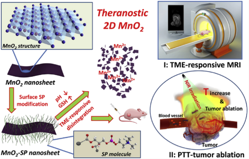 Biomedical application of manganese dioxide nanomaterials - IOPscience