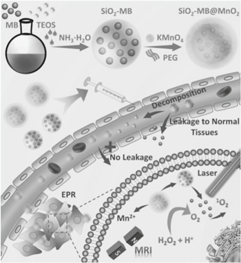 Biomedical application of manganese dioxide nanomaterials - IOPscience