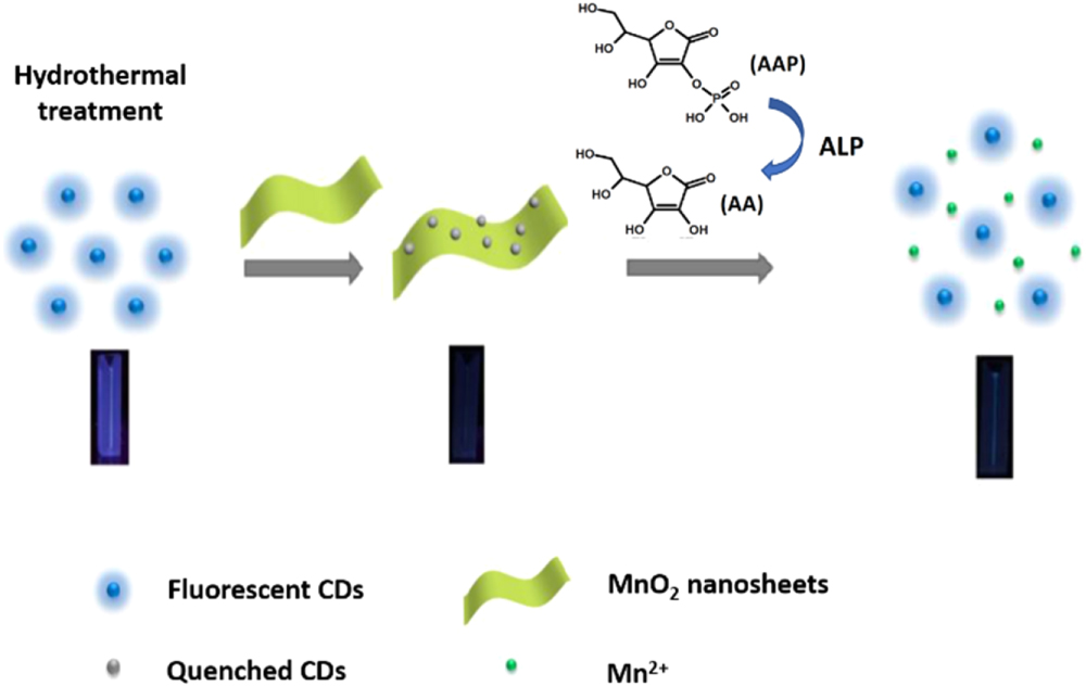 Biomedical application of manganese dioxide nanomaterials - IOPscience